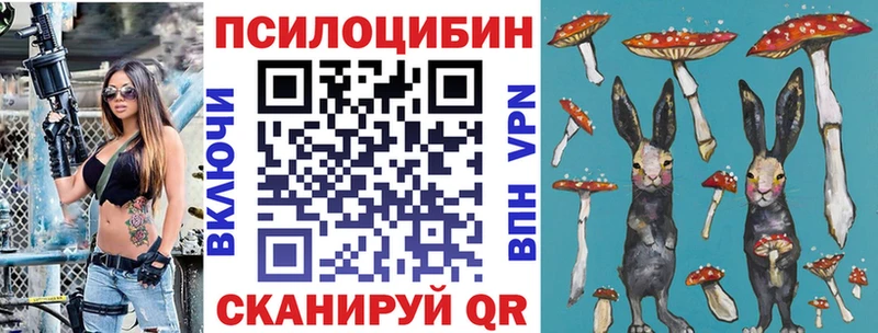 закладка Калтан Галлюциногенные грибы Cubensis